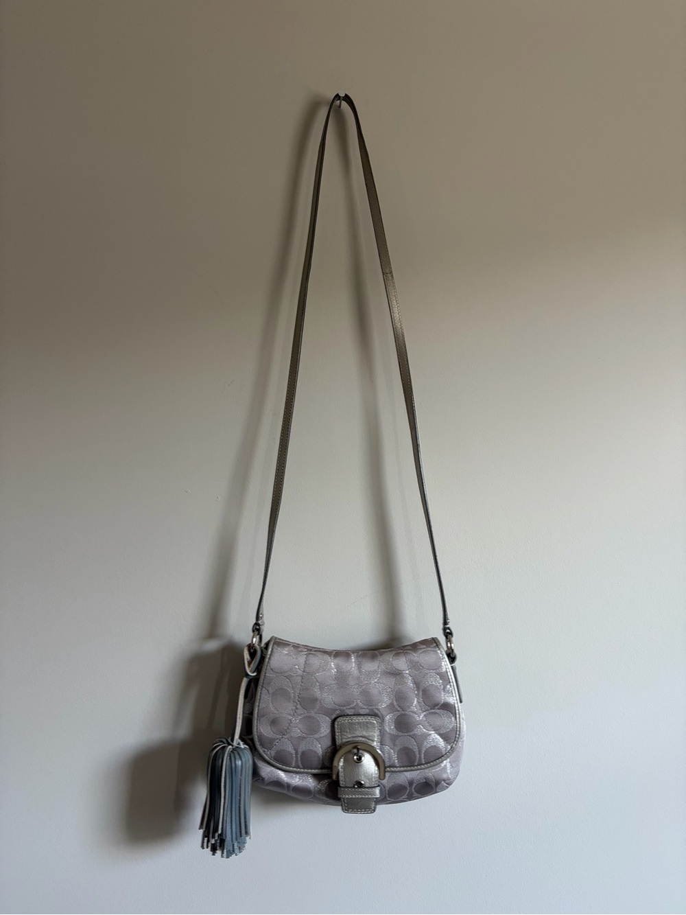 Gray/Silver Leather Coach Crossbody Bag with Tassel